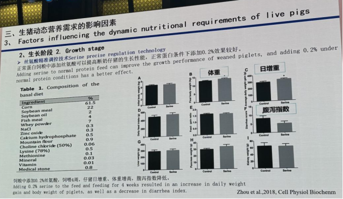 生长阶段