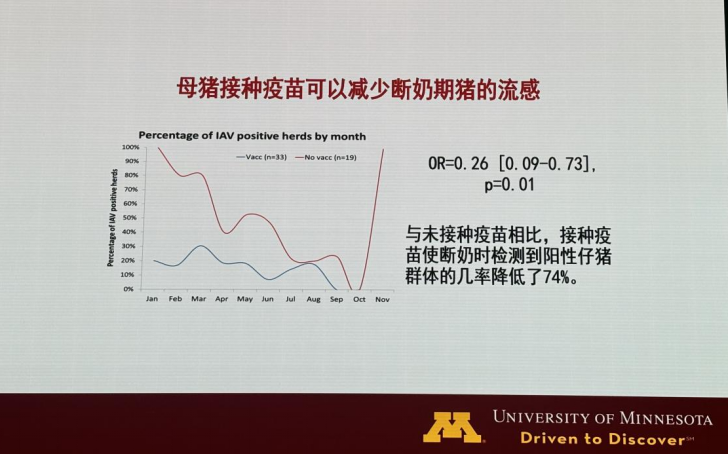 母猪接种疫苗可以减少断奶期猪的流感