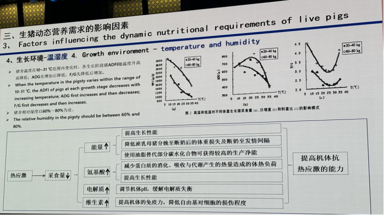 生长环境