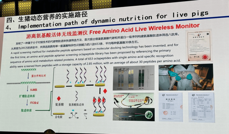 生猪动态营养的实际路劲