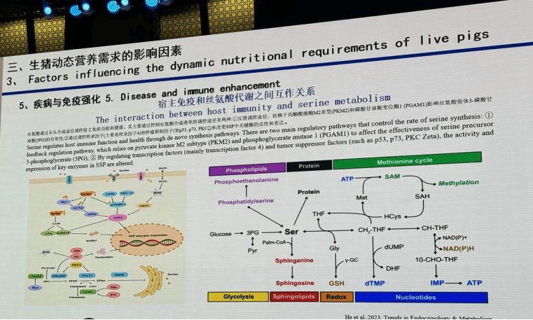 疾病与免疫强化