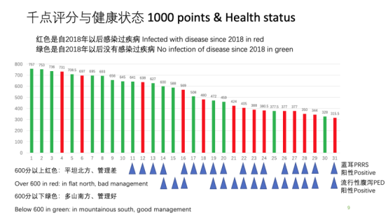 千点评分与健康动态