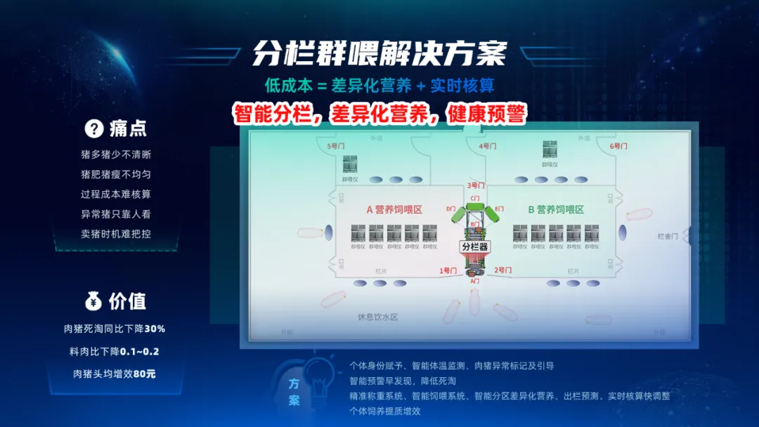 肉猪分栏群喂解决方案