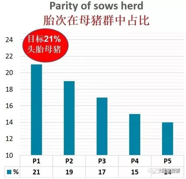 胎次在母猪群中占比