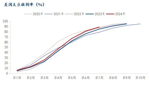 美国大豆收割率