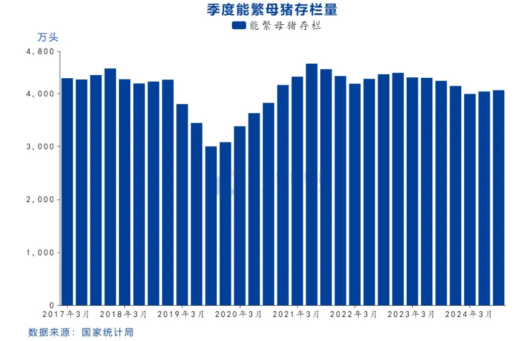 农业农村部发布三季度末生猪数据！未来猪价乐观？