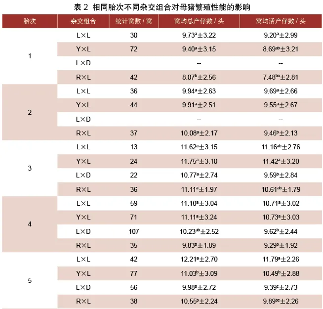 相同胎次内不同杂交组合对母猪繁殖性能的影响