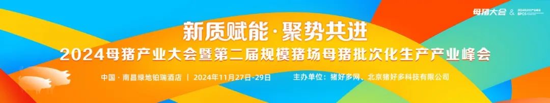 "母猪产业大会暨第二届规模猪场母猪</p