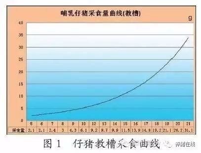 仔猪教槽采食曲线