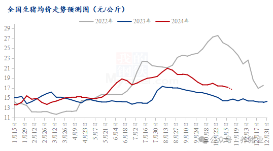 11月猪价持续震荡！年前猪价将如何演绎？分析来了