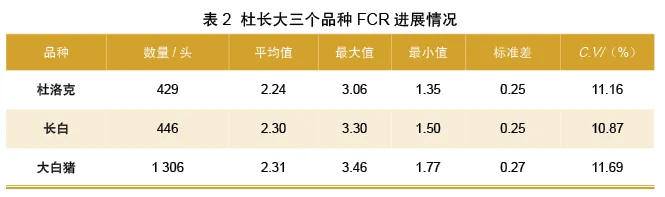 节粮型种猪选育进展