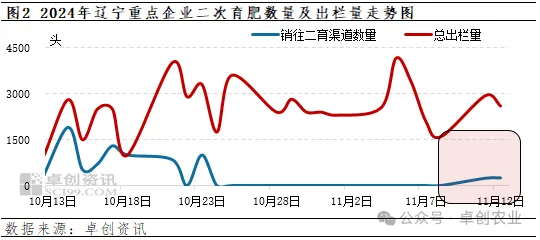 二次育肥量及出栏量