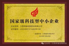 喜讯！江西邦诚荣获“国家级科技型中小企业”荣誉称号！