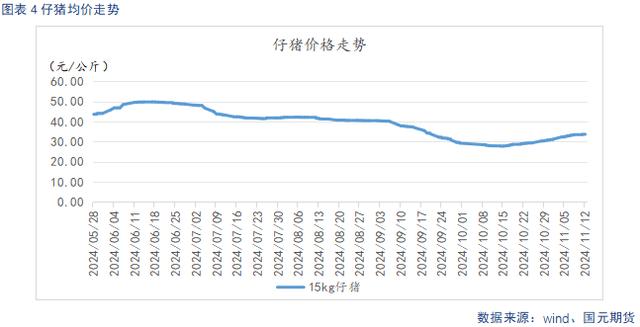 仔猪行情