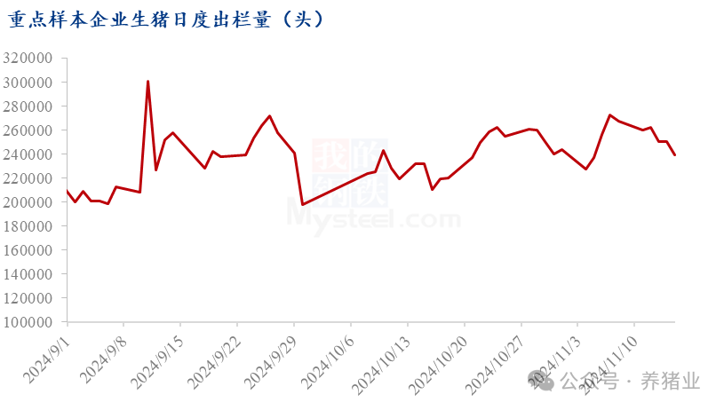 猪肉旺季需求难达预期！后市猪价怎么走？