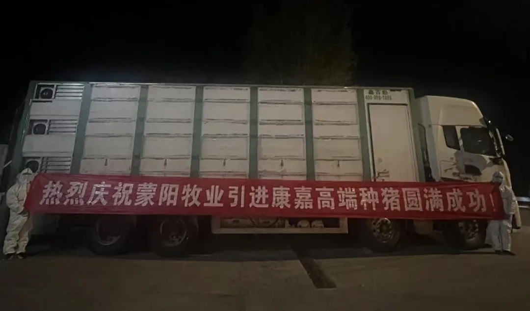 康嘉优质种猪“落户”鄂尔多斯