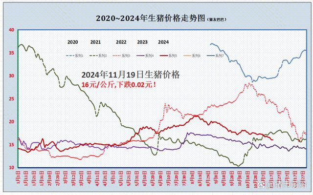 猪价走势图