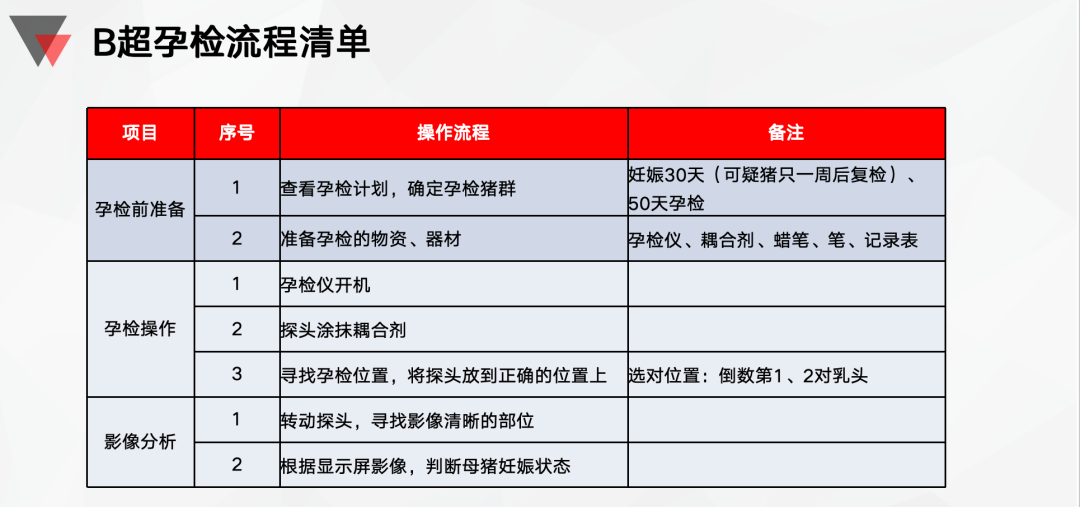 B超孕检流程清单