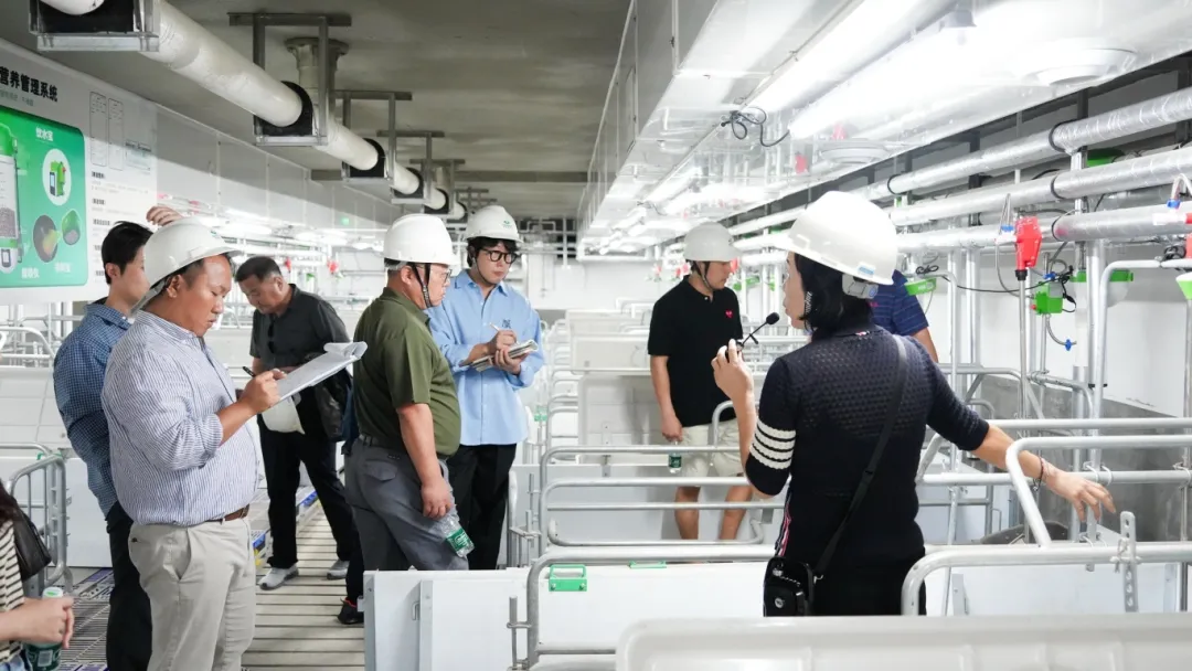 广州南沙扬翔风行食品立体化全产业链生猪养殖项目