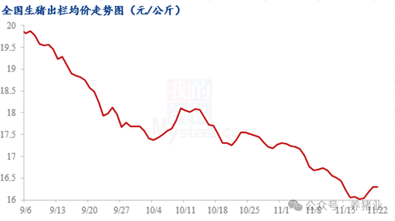 猪源仍较充裕，猪价不具备大幅上涨的基础