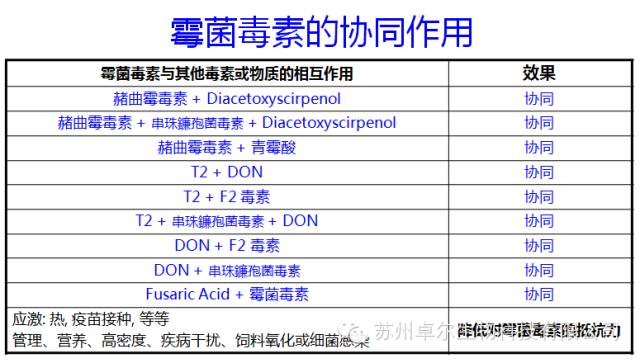 霉菌毒素协同作用