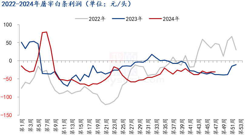 屠宰白条利润