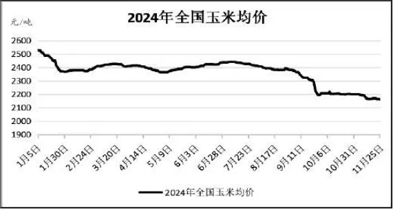 玉米行情