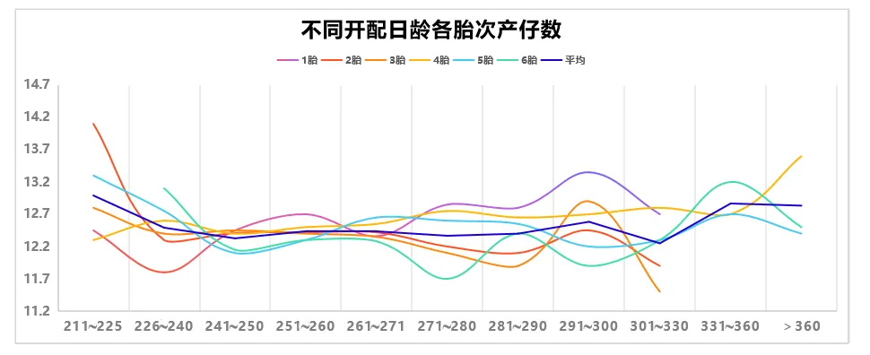 后备母猪不同开配日龄各胎次产仔数