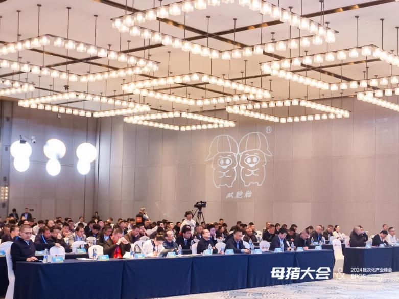 母猪产业大会