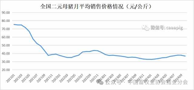 二元母猪行情