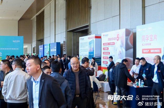 宁波第二激素厂