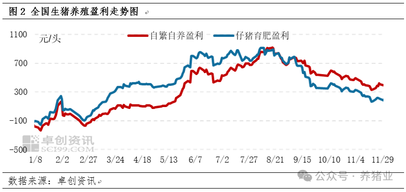 11月生猪供应增加，12月猪价或将延续弱势？