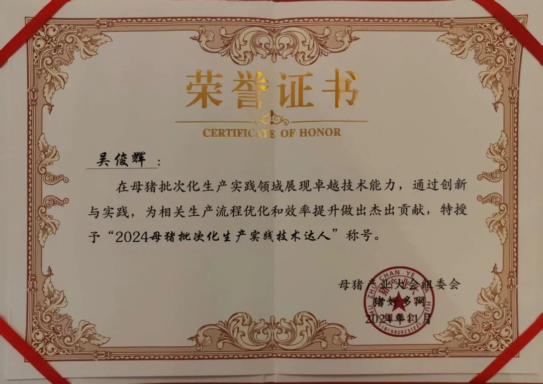 荣誉证书