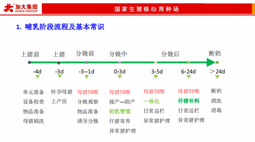 哺乳阶段流程及基本常识