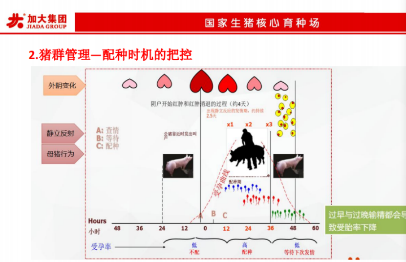 直播课件