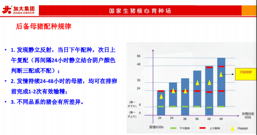 后备<a href=