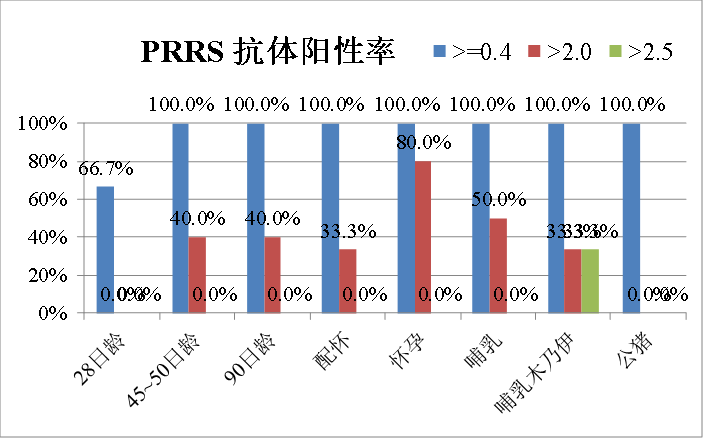 送检血清样品的PRRSV抗体检测结果