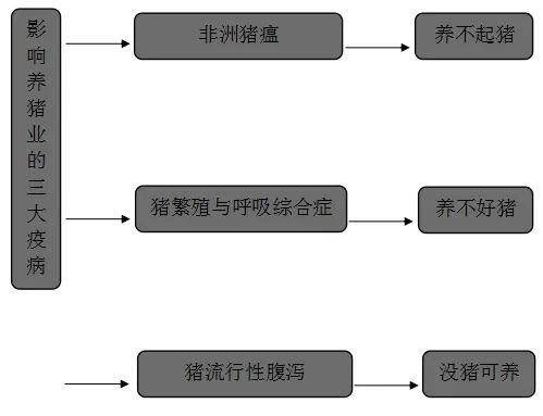 影响养猪业的三大疫病