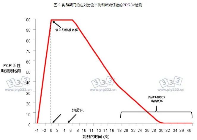 在封群期间对断奶仔猪进行蓝耳病病毒检测的程序示例