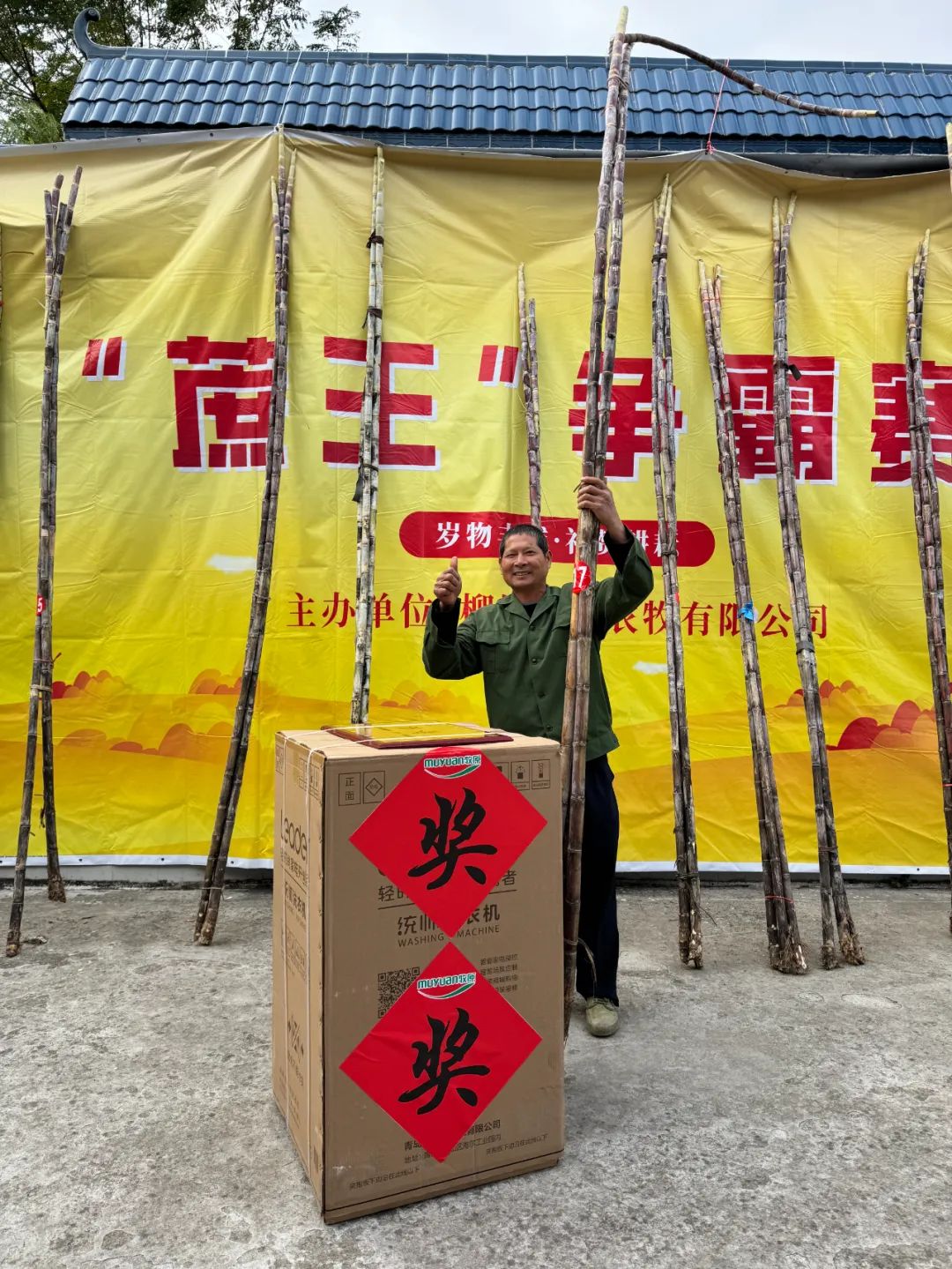 农户黄建生与“巨无霸”甘蔗