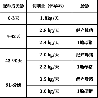 美系母猪怀孕饲喂标准