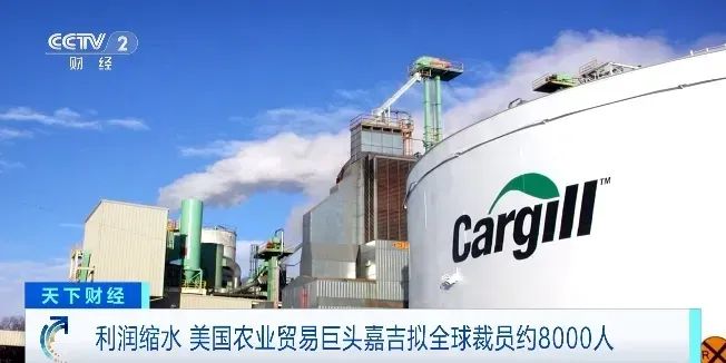 美国农业贸易巨头嘉吉（Cargill）公司计划在全球范围内裁员约8000人