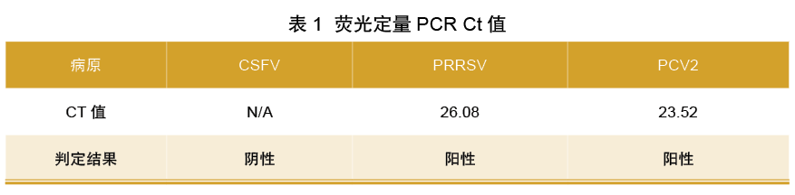 荧光定量