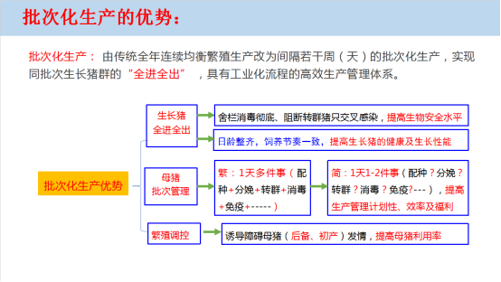 批次化生产的优势