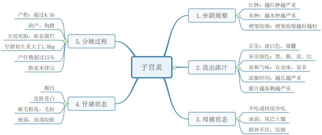 子宫炎