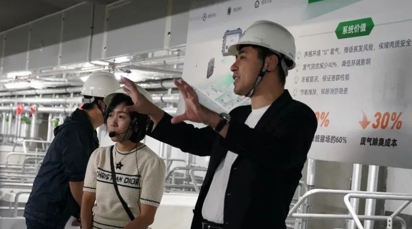 张岩陪同参观南海楼房猪场