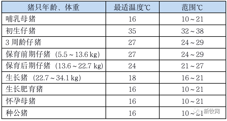 不同年龄猪只的最适温度