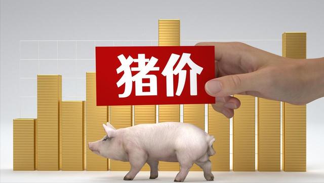 猪价走势