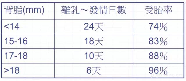 背脂厚与发情及受胎率关系