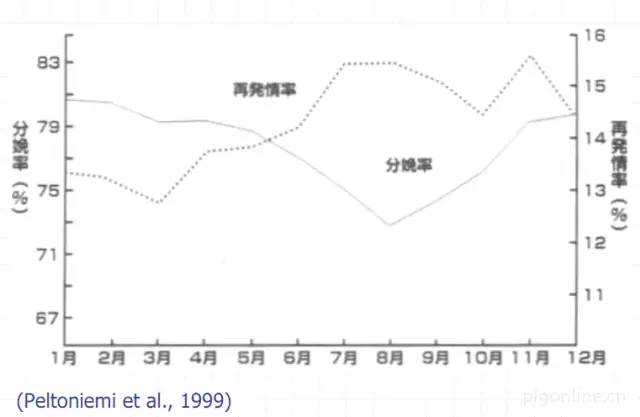 不同月份之分娩率与再发情比率